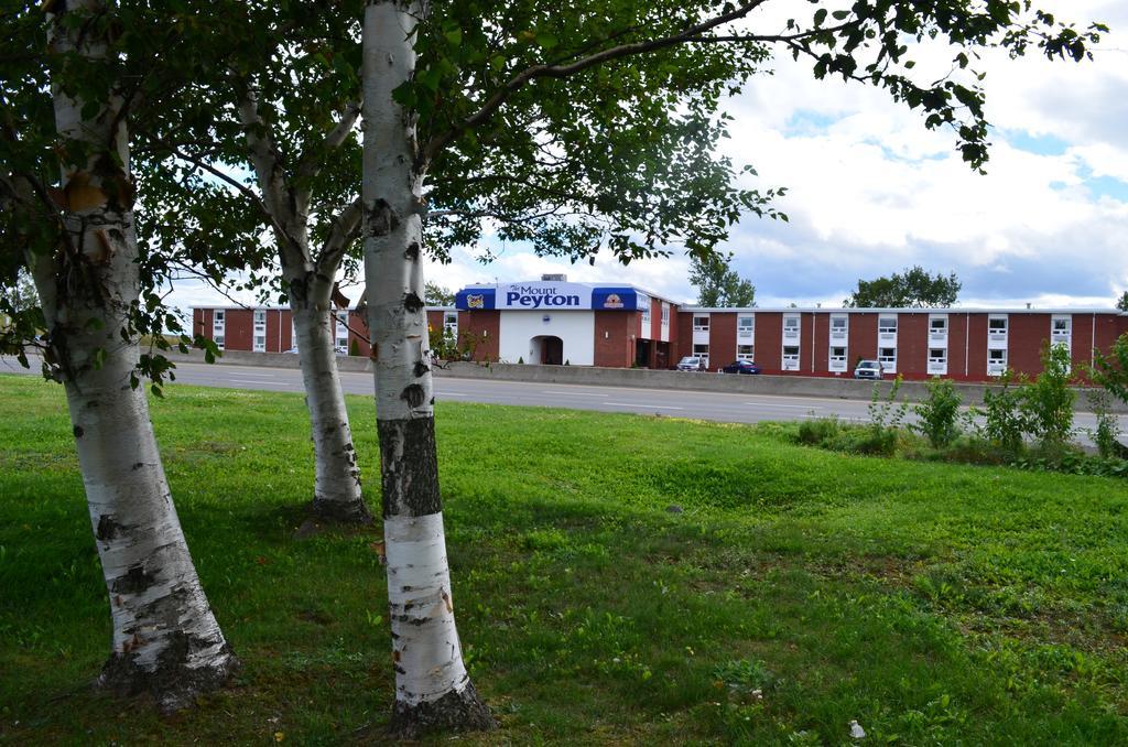 Mount Peyton Resort & Conference Centre (Adults Only) Grand Falls Windsor Bagian luar foto